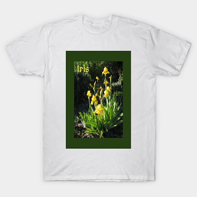 Yellow Iris Photograph T-Shirt by Heatherian